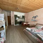 Il Delfino