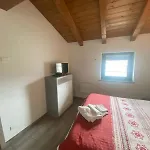 Il Delfino
